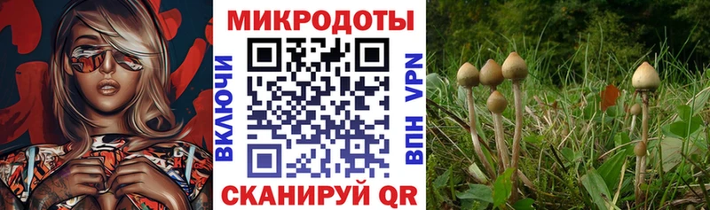 Псилоцибиновые грибы Magic Shrooms магазин Островной